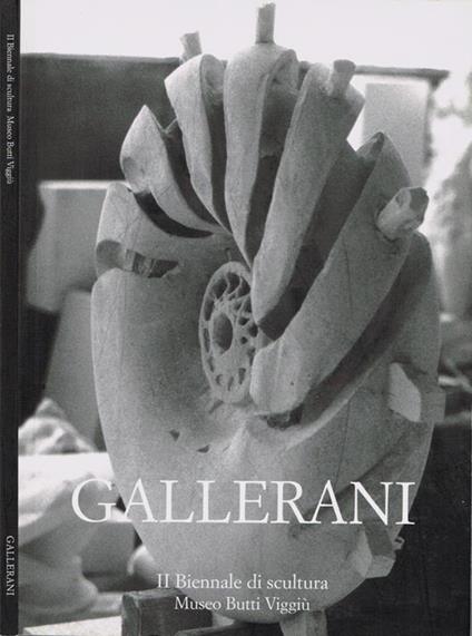 Gallerani - Luisa Somaini - copertina