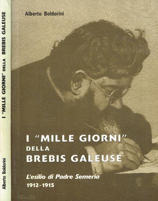 I mille giorni della Brebis Galeuse - Alberto Boldorini - copertina