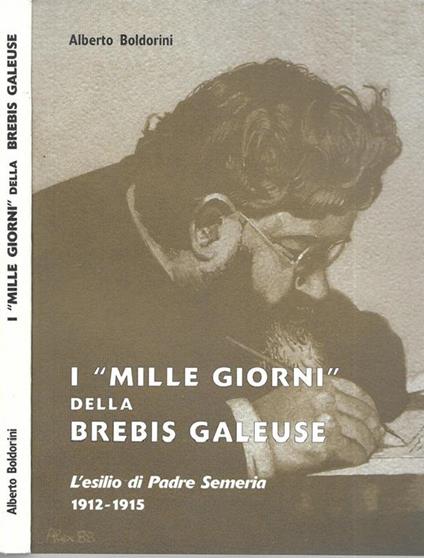 I "mille giorni" della brebis galeuse - Alberto Boldorini - copertina