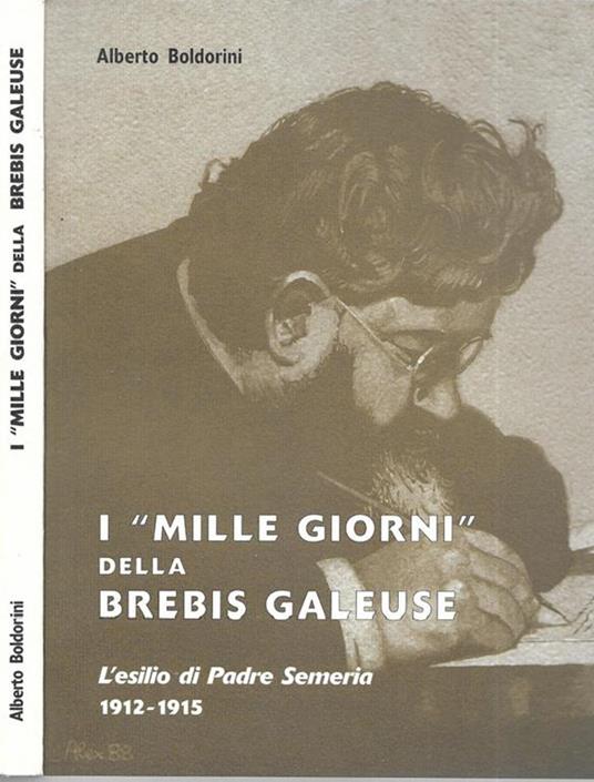 I "mille giorni" della brebis galeuse - Alberto Boldorini - copertina