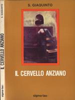 Il cervello anziano