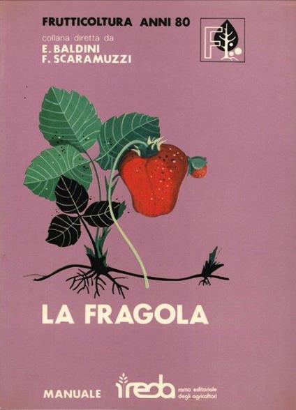 La Fragola - Enrico Baldini - copertina