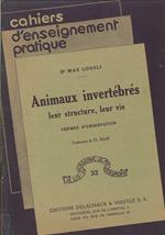 Animaux Invertébrés Leur Structure,leur Vie . Thèmes d'Observation
