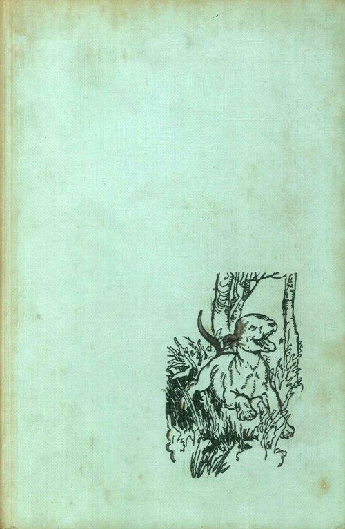 My first Enid Blyton book - Enid Blyton - copertina