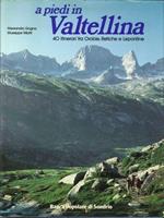 A Piedi in Valtellina. 40 Itinerari fra Orobie, Retiche e Lepontine