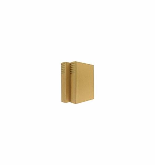 MaxLibri