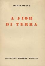 A fior di terra