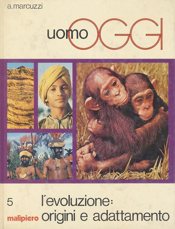 Libreria antiquaria Gozzini