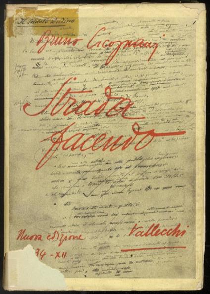 Strada facendo - Bruno Cicognani - copertina