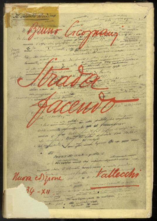 Strada facendo - Bruno Cicognani - copertina