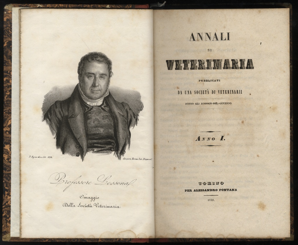 Libreria antiquaria Gozzini