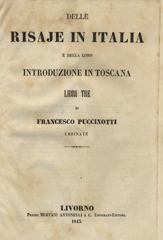 Libreria antiquaria Gozzini