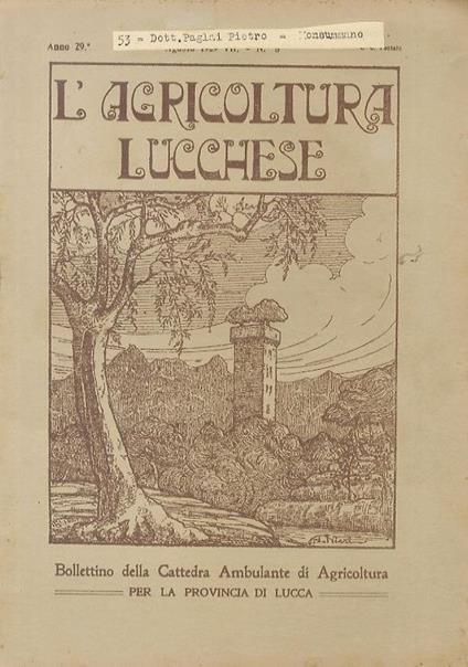 Agricoltura (L') Lucchese. Periodico mensile della Cattedra Ambulante di Agricoltura per la provincia di Lucca. Anno 28°: NN. 4 (supplemento), 5-12 A. 29°: NN. 1-11 A. 30°: NN. 1-12 A. 32°: NN: 2-12 A. 33°: NN. 2-5, 7-11 A. 34°: NN: 3, 5, 7-12 - copertina