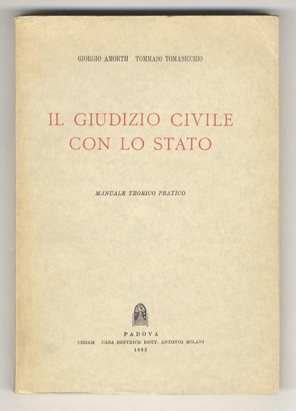 Il giudizio civile con lo Stato. Manuale teorico pratico - Gabriele Amorth - copertina