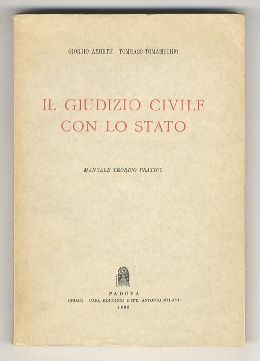 Il giudizio civile con lo Stato. Manuale teorico pratico - Gabriele Amorth - copertina