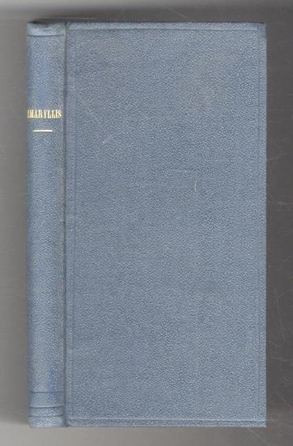 Amaryllis - copertina