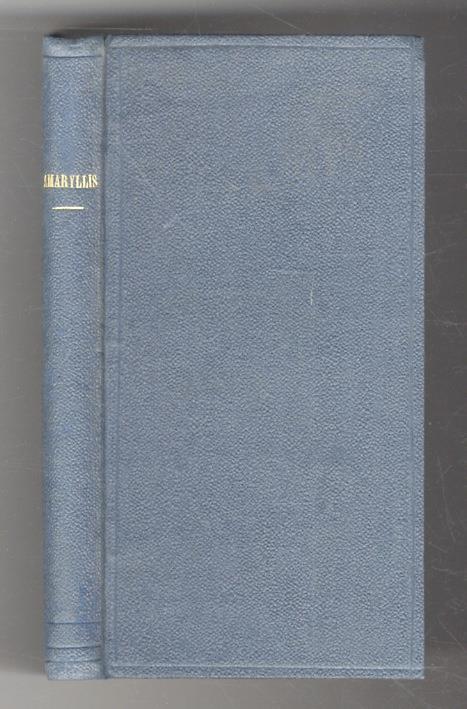 Amaryllis - copertina