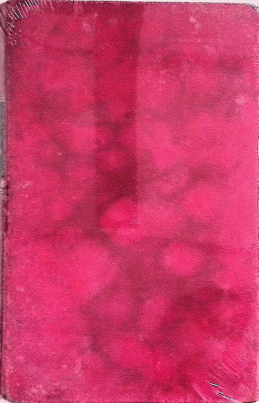 La passione di Fiume. Diari, cronache, documenti - Mario Maria Martini - copertina