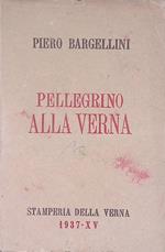 Pellegrino alla Verna