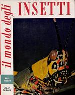Il mondo degli insetti