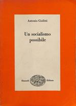 Un socialismo possibile