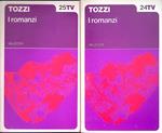 I romanzi