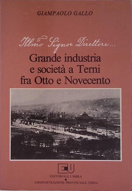Grande industria e società a Terni fra Otto e Novecento - Giampaolo Gallo - copertina