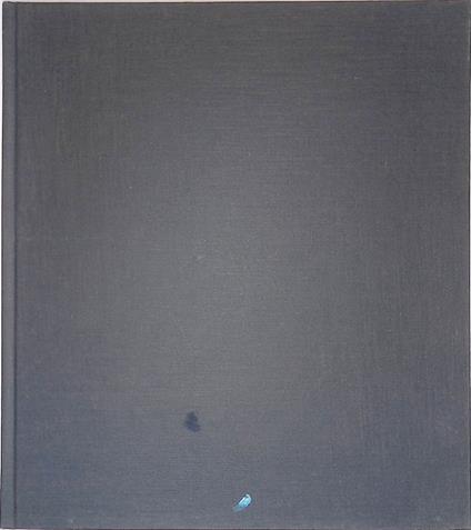 Basaglia - Enzo Di Martino - copertina