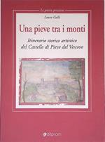 Una pieve tra i monti. Itinerario storico artistico del Castello di Pieve del Vescovo