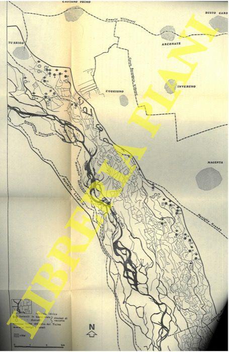 Considerazioni faunistiche e dinamiche di popolazioni di alcuni molluschi viventi nei fontanili lombardi - Icilio Bianchi - copertina