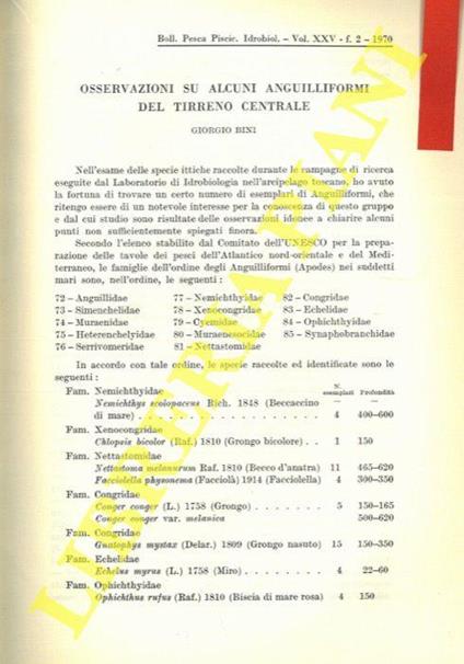 Osservazioni su alcuni Anguilliformi del Tirreno Centrale - Giorgio Bini - copertina