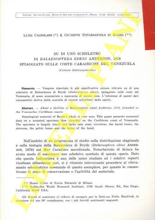 Su di uno scheletro di Balenoptera edeni Anderson, 1878 spiaggiato sulle coste caraibiche del Venezuela (Cetacea Balaenopteridae)  - Luigi Cagnolaro - copertina