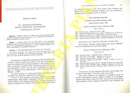 Gli Archaeogastropoda dello stratotipo Piacenziano (Castell'Arquato, Piacenza) - Erminio Caprotti - copertina