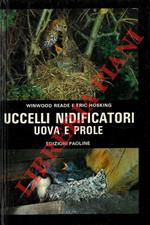 Uccelli nidificatori uova e prole