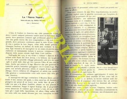 La “Nuova Napoli” . A proposito della “Nuova Napoli” - Paolo Tuccimei - copertina