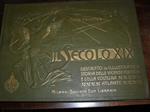 Il secolo XIX descritto e illustrato. Storia delle vicende politiche e della coltura. VOL.1 1795 -1840 VOL. 1841. 1870