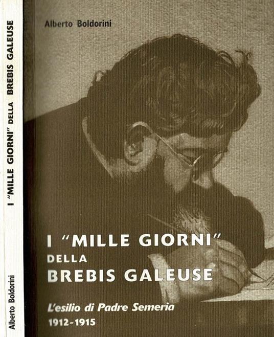 I " Mille Giorni " della Brebis Galeuse - Alberto Boldorini - copertina