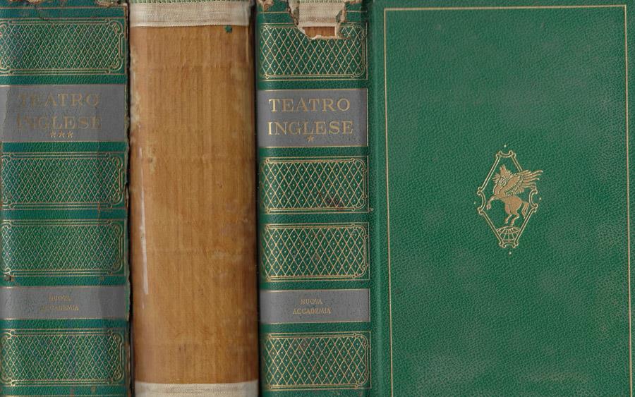 Biblioteca di Babele