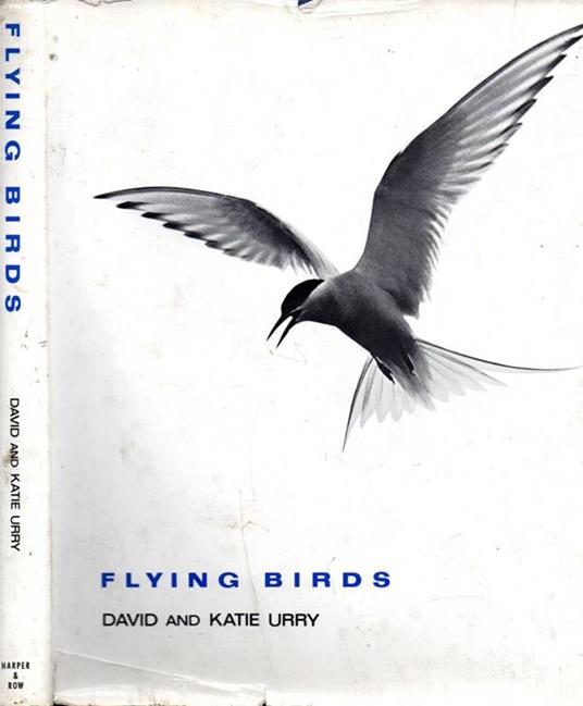 Flying Birds - copertina