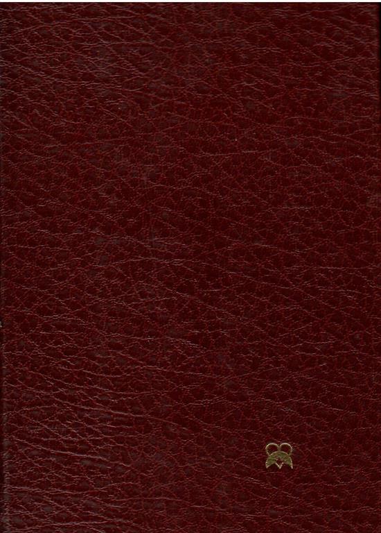 Libroteka di Fattoretti Silvia