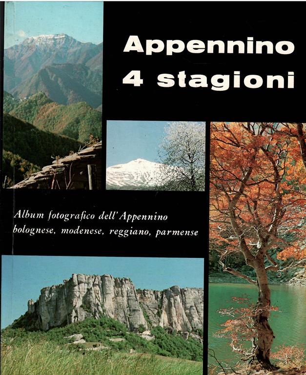Libroteka di Fattoretti Silvia
