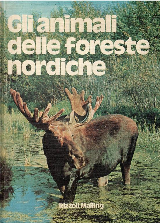 Libroteka di Fattoretti Silvia