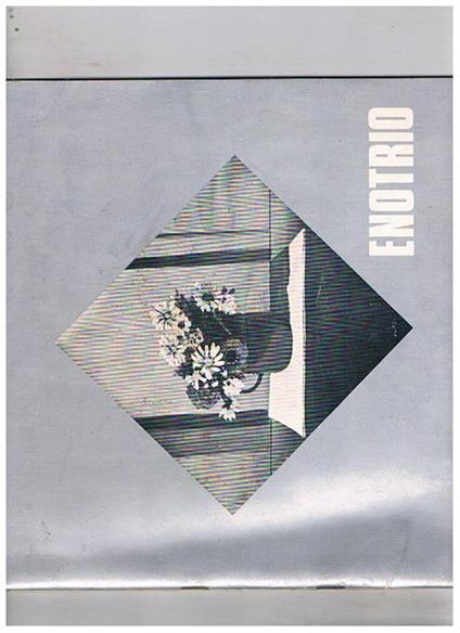 Enotrio. Estate 1981. Per cura della Regione Lazio - Assessorato al Turismo e l'Azienda Autonoma di Cura Soggiorno e Turismo di Fiuggi - copertina