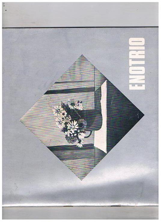 Enotrio. Estate 1981. Per cura della Regione Lazio - Assessorato al Turismo e l'Azienda Autonoma di Cura Soggiorno e Turismo di Fiuggi - copertina