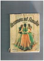 La camera sul Danubio (Szerelembol Elègtelen). Romanzo tradotto dal testo originale ungherese da Teo Ducci. Seconda edizione