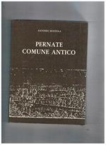 Penate comune antico. Pubblicato in occasione dei 450 anni della Madonna del Bosco