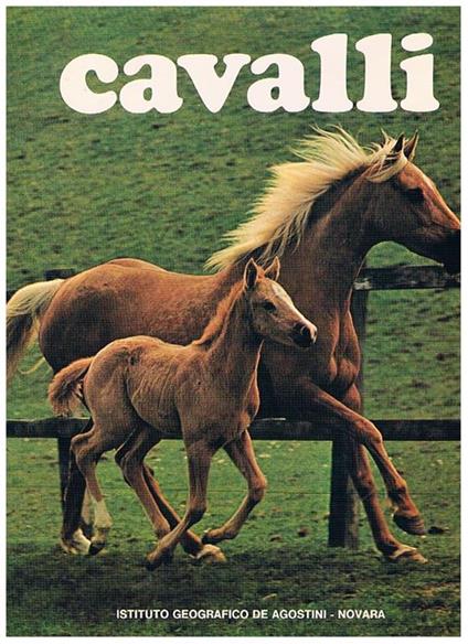Cavalli - copertina