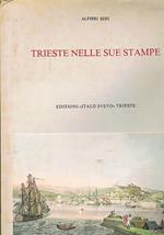 Trieste nelle sue stampe. Sviluppo urbanistico dalla nascita dell'eporio alla fine dell'ottocento. Storia cronaca folclore arte vita quotidiana nei secoli XVIII e XIX, cola la consulenza iconografica di Fiorello De Farolfi