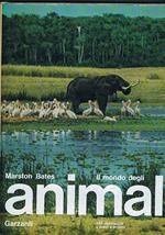 Il mondo degli animali