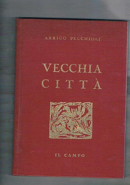Vecchia città. Siena stupenda d'anima e di forma - Arrigo Pecchioli - copertina